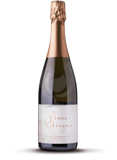 Fleur D'Aligoté