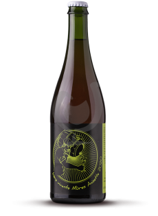 Bière Vivante Mûres Anisette