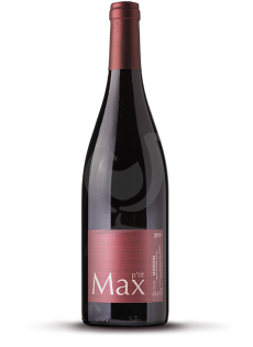 P'Tit Max