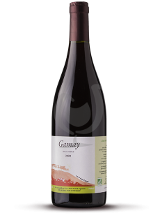 Gamay