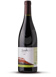 Syrah Magnum