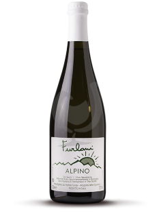 Alpino