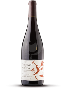 Beaujolais Nouveau