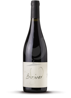 Elzéard