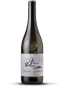 Patrimonio Blanc