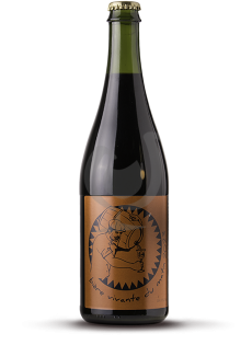 Bière Vivante Du Matin