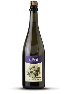 Macération Fleurs de Sureau