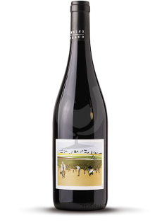 Côtes Du Rhône Nouveau