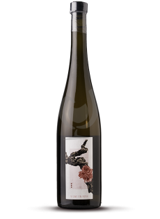 La Vigne En Rose