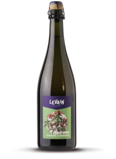 Macération Verveine et Monarde