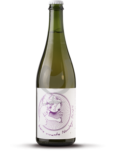 Bière Vivante Nondegu