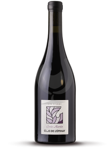 Vouvray Sur Le Bouchet