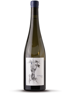 Schieferberg Riesling