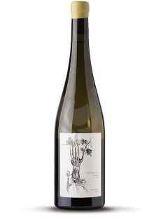Mittelbourg Sylvaner