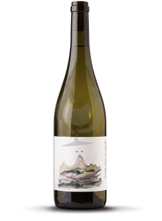 Quand Fond La Neige, Où Va...