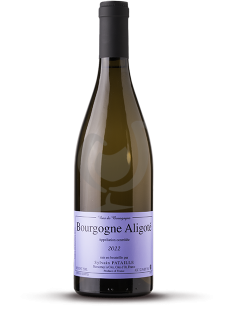 Aligoté 2023
