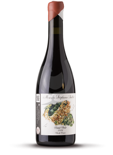 Pinot Noir
