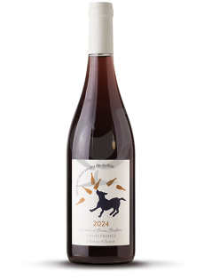 Un Chien Dans Un Jeu De...