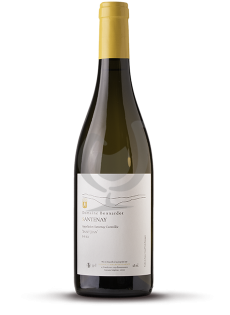 Chassagne-Montrachet