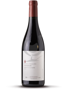 Santenay Rouge