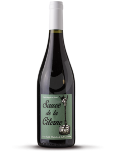 Sauvé De La Citerne