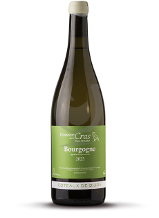 Bourgogne Blanc 2024