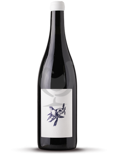 Aves, Les Oiseaux Rares