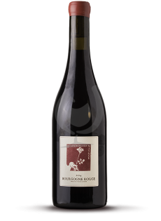 Bourgogne Rouge