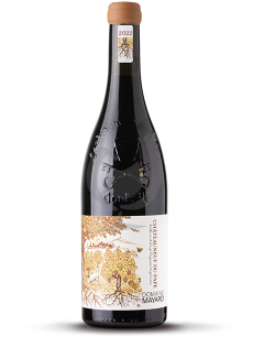 Châteauneuf-Du-Pape 2024