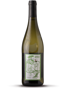 Chenin