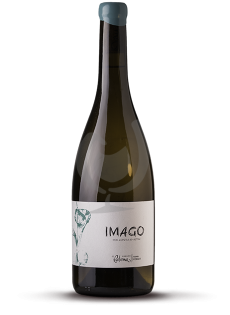 Imago
