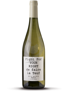 Fight For Your Right De...