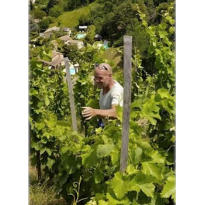 La Ferme De L'Arbre