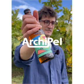 Archipel Kombucha De Brasseurs