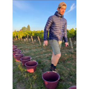 Domaine Jean-Baptiste Hardy