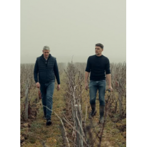 Champagne Pierre Paillard