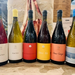 Gros arrivage les amis !

Un petit aperçu des derniers arrivages en images !

Clos des Grillons (Rhône sud)
Romain Le Bars (Rhône sud)
Domaine Guy Breton (Beaujolais)
Domaine de la Bonne Tonne (Beaujolais)
Domaine COS (Sicile)
Domaine Foradori (Ombrie)
Poivre d'Ane (Languedoc)
Domaine Ribiera (Languedoc)
Corentin Houillon (Savoie)
Domaine des Canailles (Beaujolais)
Clos du Tue-Boeuf (vallée de la Loire)

A retrouver dans nos boutiques et en ligne sur https://www.vinsnature.fr/